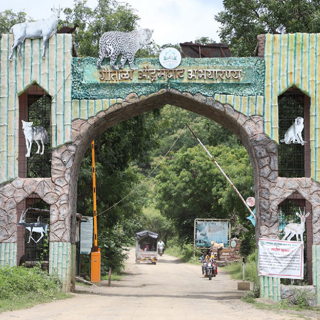 Dense forest hills of the Gautala Autramghat Wildlife Sanctuary in the Western Ghats